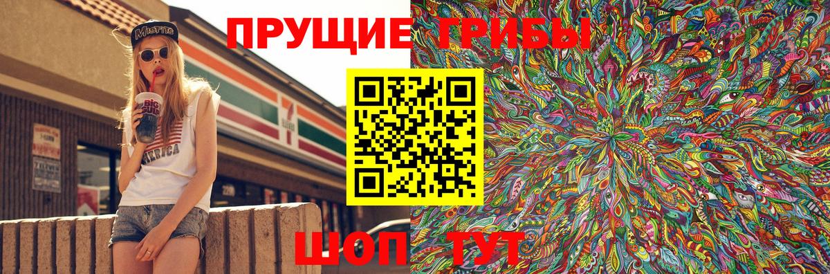 Галлюциногенные грибы мицелий  Галлюциногенные грибы мицелий  Волгоград  Вход с VPN 